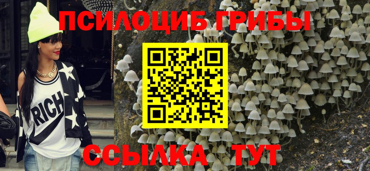 Псилоцибиновые грибы ЛСД Ачхой-Мартан