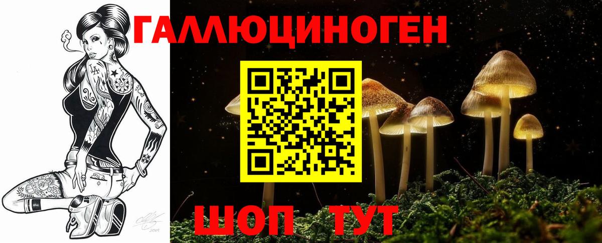 Ачхой-Мартан  Псилоцибиновые грибы GOLDEN TEACHER  Псилоцибиновые грибы GOLDEN TEACHER  Вход с VPN 